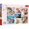 Trefl In the Cat World Kids Jigsaw Puzzle - 100pc - image 2 of 4