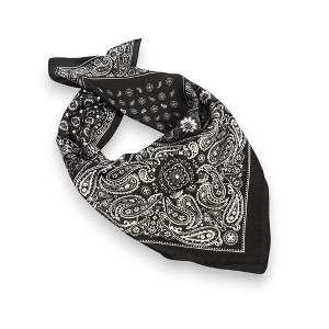 Anna-Kaci Satin Scarf Premium Cashew Print Square Print Neck Head Bag Accessory - 27.5IN×27.5IN - 1 of 4