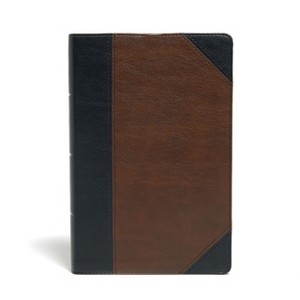 KJV Large Print Personal Size Reference Bible, Brown/Black Leathertouch Indexed - by  Holman Bible Publishers (Leather Bound) - 1 of 1