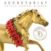 Breyer:Horses The Traditional Series - Gold Secretariat 50th Anniversary Model - image 2 of 4