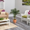 Nearly Natural 3.5-ft Golden Cane Artificial Palm Tree in Terra-Cotta Planter - 3 of 4