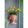 Gulches 11 Inch Gray Greek - Style Cement Head Planter for Indoor & Outdoor Garden Decor - 2 of 4