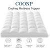 Aghana Digitals Extra Thick Queen Pillowtop Mattress Pad Cover with Deep Pocket - 2 of 4