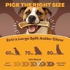 WhiteTail Naturals XL Split Elk Antler Dog Chew – Extra Large, Long-Lasting, Natural, Odor-Free & USA Made - 4 of 4