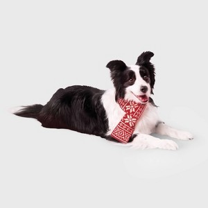 Red Fairisle Dog Scarf - Boots & Barkley™ - 1 of 3