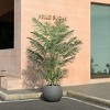 DR.Planzen 7ft UV Resistant Artificial Palm Plant with Gray Tall Planter, Pre Potted Fake Palm Plants for Indoor Outdoor Home Decor, Big Faux Plants - 2 of 4