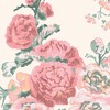 Laura Ashley Hollyhocks Coral Pink Wallpaper - 4 of 4