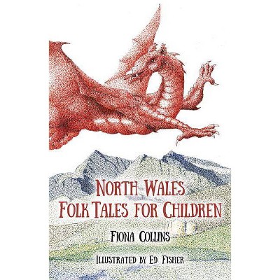 North Wales Folk Tales for Children - by  Fiona Collins (Paperback)