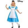 HalloweenCostumes.com Girl's Deluxe Disney Alice Costume, Disney Princess Costumes for Kids, Blue Dress Fairytale Cosplay - 4 of 4