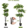 Artificial Black Olive Tree,5Ft Tall Faux Olive Tree in Pot with 3 Tier,Fake Plants for Indoor Living Room Office Decor&Housewarming Gift - 4 of 4