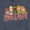 Scooby Doo! Scooby Gang Pullover Hoodie - 2 of 4