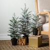 25"H, 20.5"H & 15.5"H Sullivans Artificial Tabletop Frosted Pine Christmas Tree Set of 3, Green-White - 3 of 3