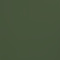 Dark Olive Green