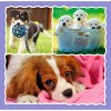 Trefl 3in1 Lovely Dogs Kids Jigsaw Puzzle - 107pc - 3 of 4