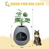 LunaLulinlk grey cat litter box set with artificial plants, additional scoop, and replaceable litter box liner - 4 of 4