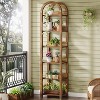 Tribesigns 6-Tier 71" Bookshelf, Wood Arched Bookcase, Open Display Shelf Storage Rack for Living Room, Home Office, Bathroom, Kitchen, Brown - 4 of 4