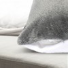 Cheer Collection Set of 2 Microfleece Throw Pillows - 3 of 4