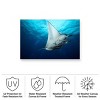 Trademark Fine Art - Roberto Marchegiani  Manta Fly Matted Framed Art - 4 of 4