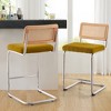 Bekrvio Bar Stools Set of 2/3/4, 26”/30" Barstool with Rattan Back, Velvet-Upholstered & Chrome Frame,Mid Century Modern Kitchen Stool for Island - 3 of 4