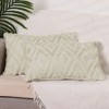 Unique Bargains Shaggy Plush Faux Fur Throw Patterned Pillow Covers 2 Pcs - 2 of 4