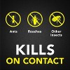 Raid Ant & Roach Killer Fragrance Free - 4 of 4