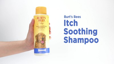 Burt's bees itch soothing dog clearance shampoo