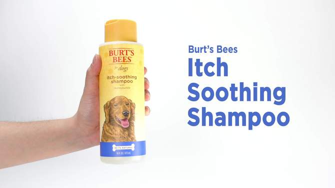 Burt&#39;s Bees Itch Soothing Shampoo with Honeysuckle for Dogs - 16 fl oz, 2 of 5, play video