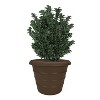 The HC Companies 20 Inch Diameter Versatile Indoor or Outdoor Fade Resistant Plastic Round Marina Flower Planter Pot, Chocolate Brown - 2 of 3