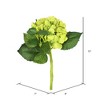 Vickerman 15" Short Stem Artificial Hydrangea - 2 of 4