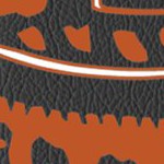 texas longhorns