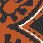 texas longhorns
