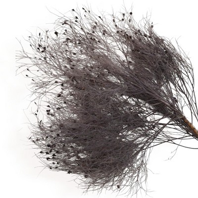 Alilang Decorative Dried Ming Fern Stems for Elegant Home Decoration and Creative Floral Arrangements, 19.5 Inches