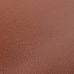 chestnut