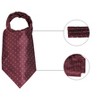 Allegra K Men's Halloween Polka Dots Self-Tied Formal Party Cravats Ascot Tie Neckwear - 2 of 4