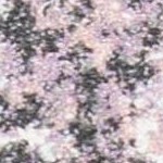 pink/grey
