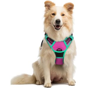 rabbitgoo Dog Harness No Pull with 2 Leash Clips, Control Handle for Large Dogs, Hot Pink & Turquoise, M - 1 of 1