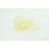 Jellyfish, Yellow, Common, Sea jellies, Subphylum Medusozoa, Very Nice Rubber Design, Hand Painted, Model, Realistic, Toys, 5 Inches. CH1040 BB218 - 4 of 4