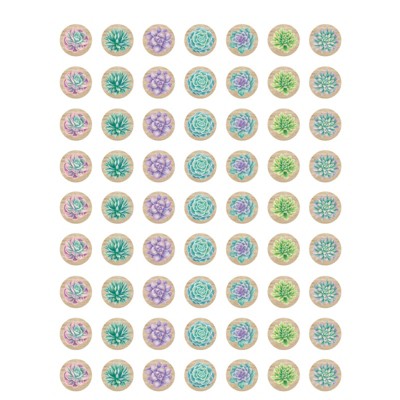 Teacher Created Resources Rustic Bloom Succulents Mini Stickers, Pack of 378 (Pack of 10)