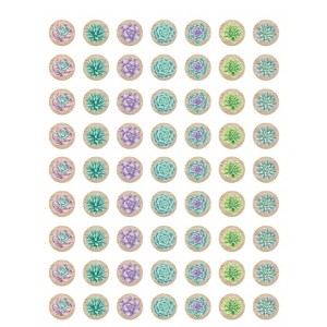 Teacher Created Resources Rustic Bloom Succulents Mini Stickers, Pack of 378 (Pack of 10) - 1 of 1