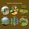 Fertilome All Purpose Ready-To-Use Ultimate Potting Mix, 50qt - 2 of 2