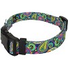 Country Brook Petz Deluxe Dog Collar - Paisley Collection - Made in The U.S.A. - 3 of 4