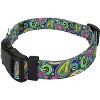 Country Brook Petz® Deluxe Bright Paisley Dog Collar - Made In The U.S.A., Small - image 3 of 4