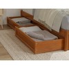 AFI Furnishings Twin XL Panel Platform Bed with Storage Drawers in Light Toffee - 2 of 4