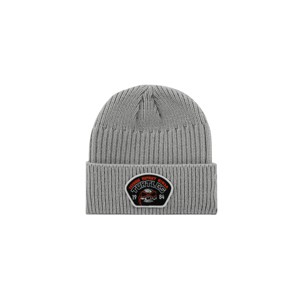 Teenage Mutant Ninja Turtles Raphael Skull Patch Gray Ribbed Knit Beanie - 1 of 3