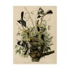John James Audubon 'Mocking Birds and Snake II' Framed Art - 2 of 3