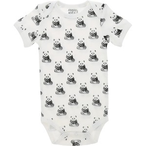 Pavilion Gift Company - Pandas - 0-6 Months Bodysuit - Leotards and Bodysuits - 1 of 4