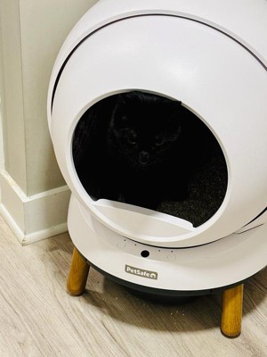 Guest review image 2 of 3, zoom in