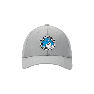 Sonic The Hedgehog Sonic Head Adult Gray Traditional Adjustable Hat - 1 of 4