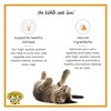 Dr. Elsey's Clean Protein Turkey Flavor Crunchy Cat Treats - 6oz - 4 of 4
