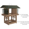 JCS Wildlife Double Fly Thru Bird Feeder with Suet Cages - 4 of 4